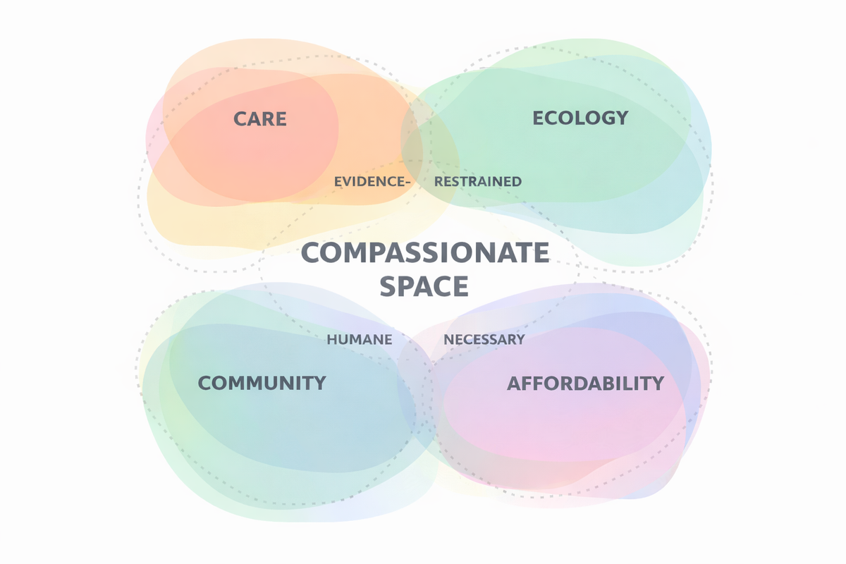 2025: On Identifying Compassionate Space